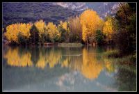 La tardor